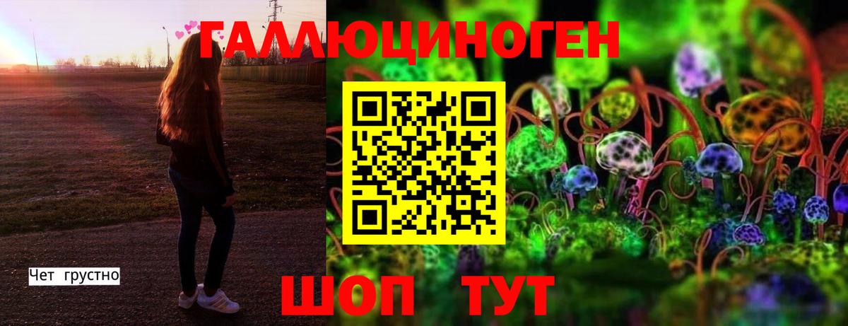 Галлюциногенные грибы прущие грибы Барнаул